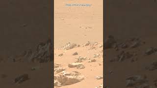 Perseverance Rover Sol 1306  Mars New 4k Video  Mars 4k Video  Mars In 4k  Mars shorts [upl. by Nilek]