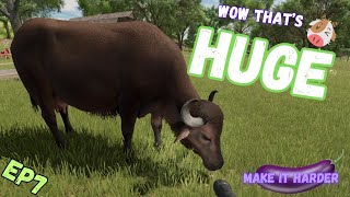 BUFFALOS NEED WATER  EP7  MAKE IT HARDER  FARMING SIMULATOR 25  FS25 [upl. by Melisent560]