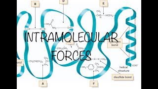 INTRAMOLECULAR FORCES [upl. by Merola]