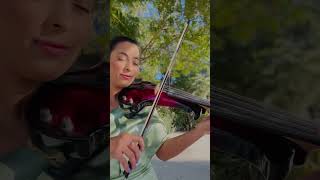 Love Me Like You Do  Ellie Goulding  Violin Cover violin violincover viral violinist [upl. by Chlo383]