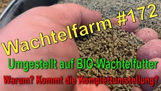 Bio Wachtelfutter  Futterumstellung auf BioWachtelkorn  Wachtelfarm 172 [upl. by Dibrin]