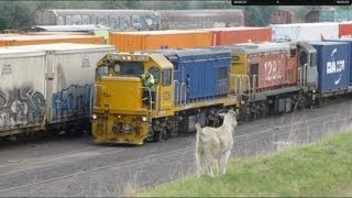 New Zealand Trains Westfield Yard Goat 09Apr14 [upl. by Yxel]