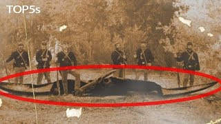 5 Pterosaurs Caught On Camera amp Reported In Real Life [upl. by Gunter793]