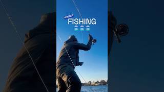 Skagit casting ▶️ skagit flyfishing flycasting speycasting scandinavianstyle fishing sea [upl. by Iago]