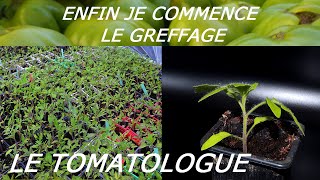 le temps de la greffe de tomates [upl. by Liam]