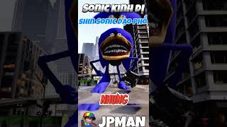 Nhím Shin Sonic Đi Dạo Phố jpman shinsonic sonictapes [upl. by Isidro]