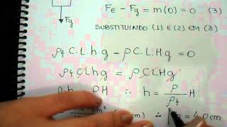 Fluidos  Exercício 4 Principio de Arquimedes [upl. by Daveta]