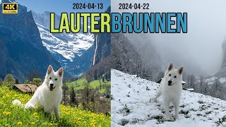 Lauterbrunnen Switzerland  from spring to winter again 4K [upl. by Milone868]