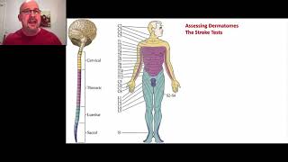 Paramedic Neurological Assessment 6  Dermatomes [upl. by Brindell993]