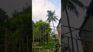 islamicshortvideo wazbangla banglaislamicwaz waztime24 [upl. by Arick]