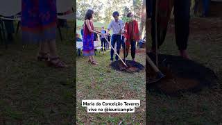 Maria da Conceição Tavares vive Ao nosso lado no IE Unicamp [upl. by Einnej]