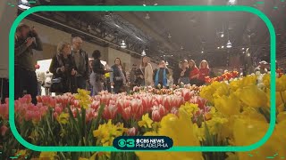 Thousands pack the Pennsylvania Convention Center for last weekend of Philadelphia Flower Show [upl. by Rastus332]