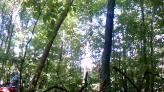 Pulling dead tree down with 4Wheeler [upl. by Forland]