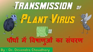 Plant Virus Transmission  Plant to plant  पौधे में विषाणु संचरण [upl. by Aicena]