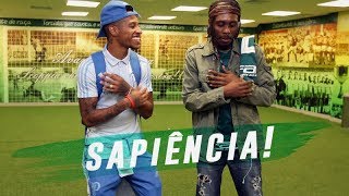 RINCON SAPIÊNCIA REAGE À VITÓRIA DO PALMEIRAS [upl. by Yadrahc581]