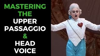 The MEZZOSOPRANO VOICE Part 2 with MICHELLE BREEDT Mastering Head Voice [upl. by Hughett]