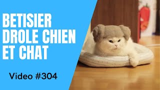 🐶 Dose dhumour 😻 Vidéo Betisier Drôle de Chat et Chien 304 [upl. by Aniaz]