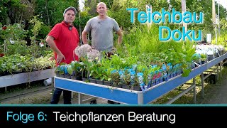 Teichbau Doku  Folge 6 Teichpflanzen Beratung [upl. by Most]