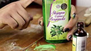 shampoo bergamota tutorial [upl. by Cowen]