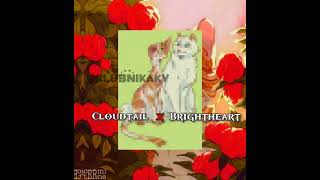 Cloudtail x Brightheart brightheart cloudtail warriorcats warriorcatsedit котывоители эдит [upl. by Barayon]