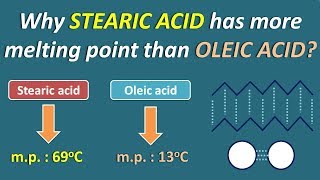 Fatty Acids [upl. by Neerom]