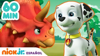 Paw Patrol Patrulla de cachorros  60 MIN del nuevo Paw Patrol  Nickelodeon [upl. by Andria]