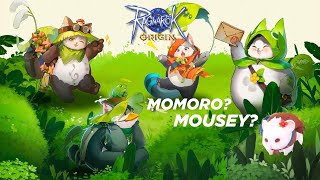 Ragnarok Origin Momoro and Mousey Location guide [upl. by Mimajneb827]