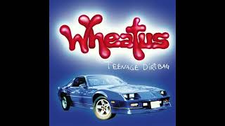 Wheatus  Teenage Dirtbag  Instrumental Mix [upl. by Bondon]