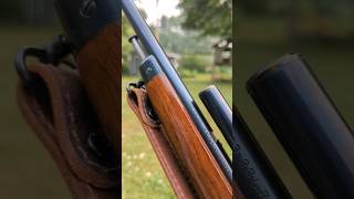 Perfect Plinker  GunBroker Find  Winchester 63  22LR [upl. by Mahda]