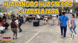 HUAPANGOS HUASTECOS GUADALAJARA [upl. by Ragen]