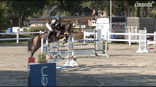 Daikon v Dominator Z und Arne van Heel – Platz 1 84 in Springpferde M in Mildstedt [upl. by Leake982]