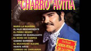 Francisco el Charro Avitia El Tarugazo [upl. by Selda]