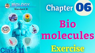 Biomolecules class 11 biology chapter 6 exercise solutions [upl. by Lubba]