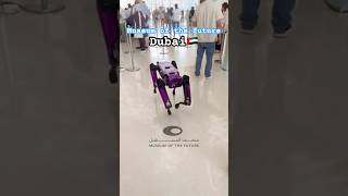 🇦🇪Museum Of The Future🤖 dubai museumofthefuture dubaishorts shorts futuretech travel robot [upl. by Pytlik]