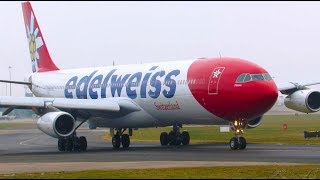 Edelweiss A343 HBJME Super Close Taxi and Takeoff at Manchester [upl. by Nydroj]