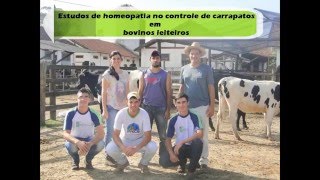 667  Estudos de homeopatia no controle de carrapatos em bovinos leiteiros [upl. by Cutter924]