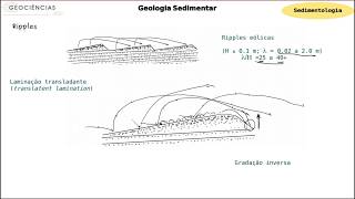 Sedimentologia  Transporte eólico e formas de leito [upl. by Aiyotal]