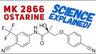 Ostarine Science Explained  Science Behind Ostarine  MK2866  SARMs  Enobosarm [upl. by Haelak930]