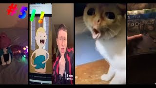 Big Chungus FunnyIronic Tik Tok MEMES Compilation 51 [upl. by Phelips328]