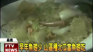 山區種北瓜 溫潤口感似魚翅－民視新聞 [upl. by Acsirp]