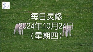 每日灵修2024年10月24日（星期四）腓立比书3章12至14节 English translation in description box [upl. by Brandy]