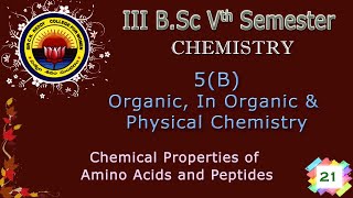 21 III BSc 5th Sem 5B InOrganicOrganic amp Phy Che Chemical Properties of Amino Acids amp Peptides [upl. by Naldo]