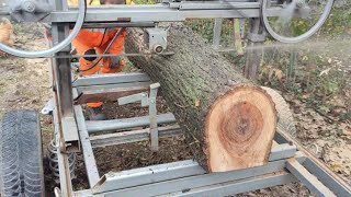 Homemade Bandsaw Mill vs Elm tree [upl. by Bravar]