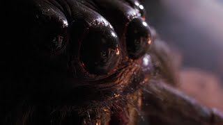 Arachnophobia Full Movie Facts amp Review in English  Jeff Daniels  Julian Sands [upl. by Berkow]