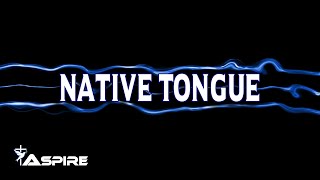 Native Tongue lyrics  Switchfoot [upl. by Oeflein]