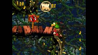 Bramble Scramble Bonus amp DK Coin Donkey Kong Country 2 [upl. by Gareri442]