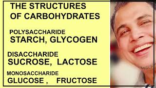 What are Carbohydrates Classification Of Carbohydrates And Its Structure [upl. by Aubrie]