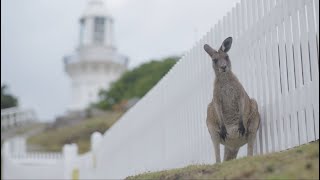 Discover the Macleay Valley Coast [upl. by Mordecai]