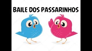 BAILE DOS PASSARINHOS [upl. by Leay]