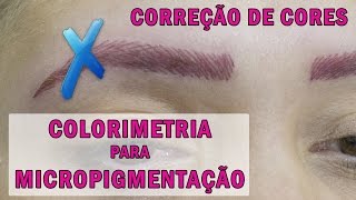 Colorimetria Para Micropigmentação  Correção de Cores Indesejadas  Vídeo 3 [upl. by Anelyak972]